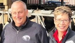 The five non-negotiables of managing cows: York